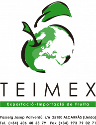 Teimex